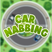 Car Nabbing