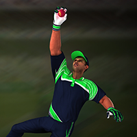 Cricket Fielder Challenge Jogo