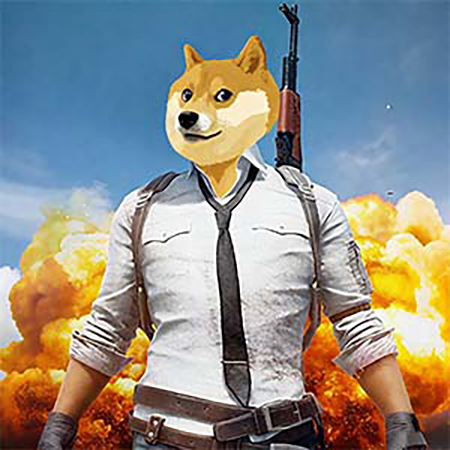 Doge's Battle Royale Game