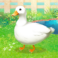 Ducky Simulator Game