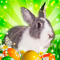 Ellie Easter Adventure - Jogue Ellie Easter Adventure Jogo Online