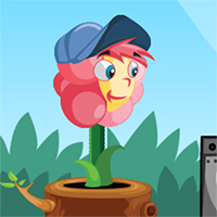 Flower Rush Game