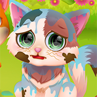 Funny Rescue Pet - Play Funny Rescue Pet Game Online