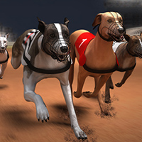 Greyhound Racing Game 