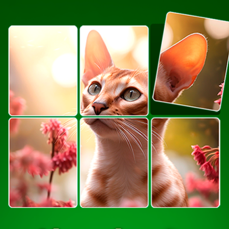 Jigpic Solitaire Game