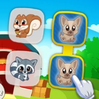 Pet Connect Game