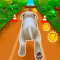 Pet Run Jogo