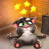 Silly Cat Funny Cat Game