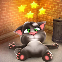 FUNNY KITTY CARE - Jogue Grátis Online!