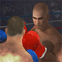 Super Boxing Game