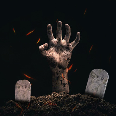 Zombie Forest: Survival Shooter